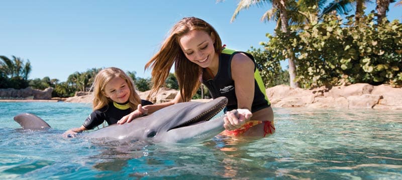 Destination South Coast